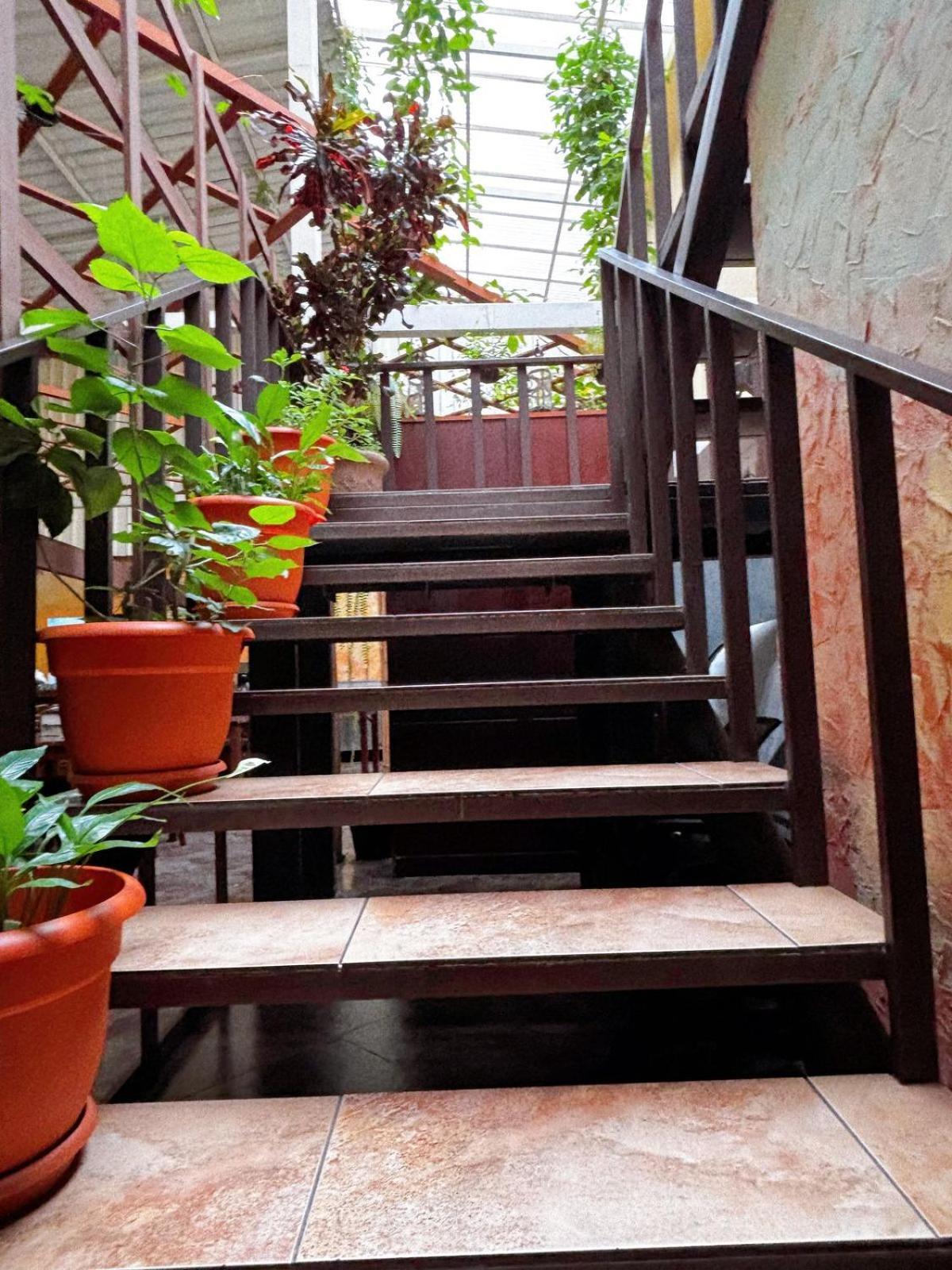 Antigua Inn Hotel Guatemalaváros Kültér fotó